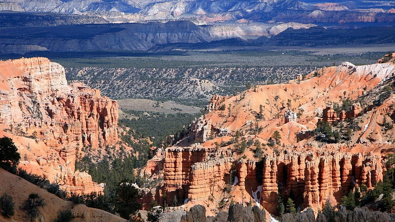splendid colorado canyon, cliffs, trees, canyon, sandstone, HD wallpaper