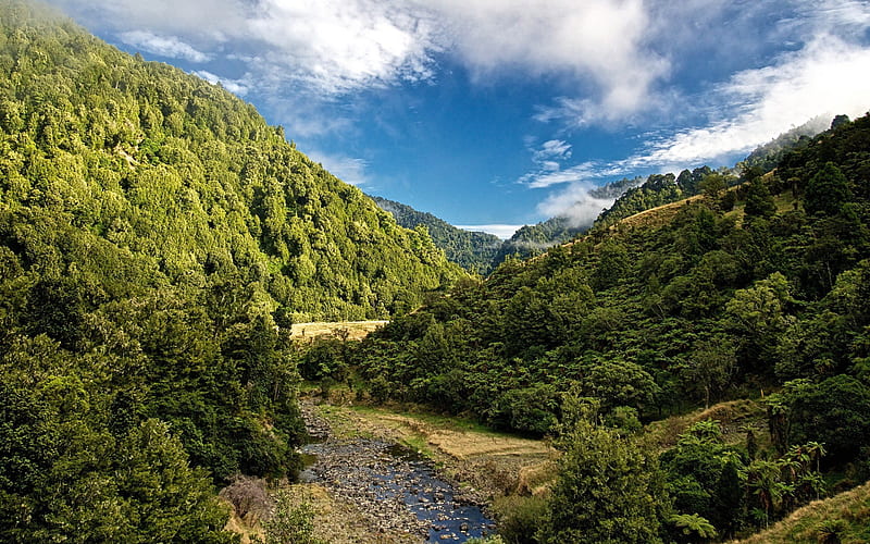 mountain stream, slopes of mountains, mountains, forest, blue sky, new zealand, HD wallpaper
