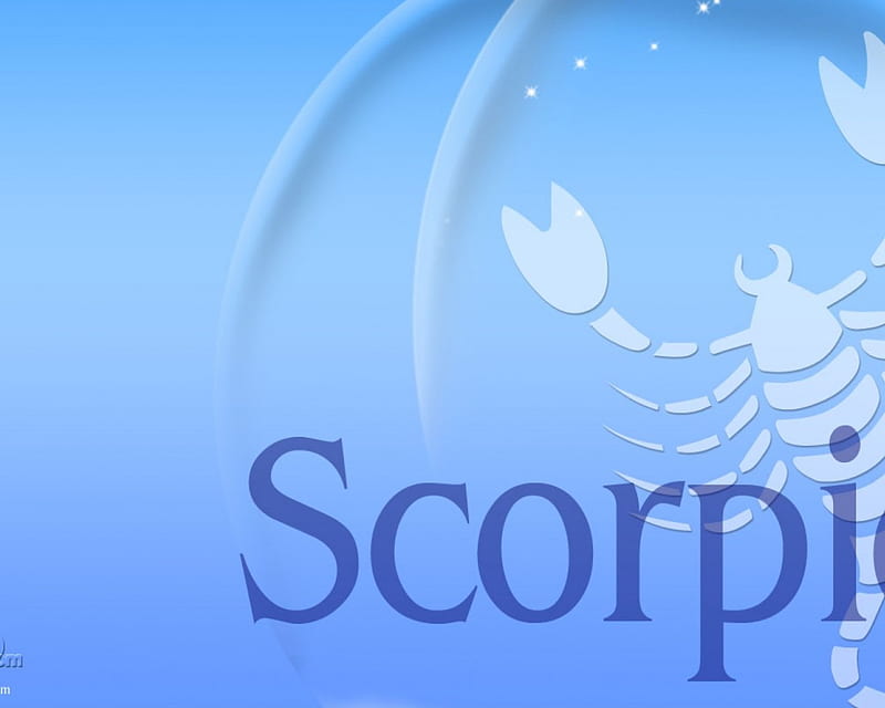 scorpio, blue, scorpion, HD wallpaper