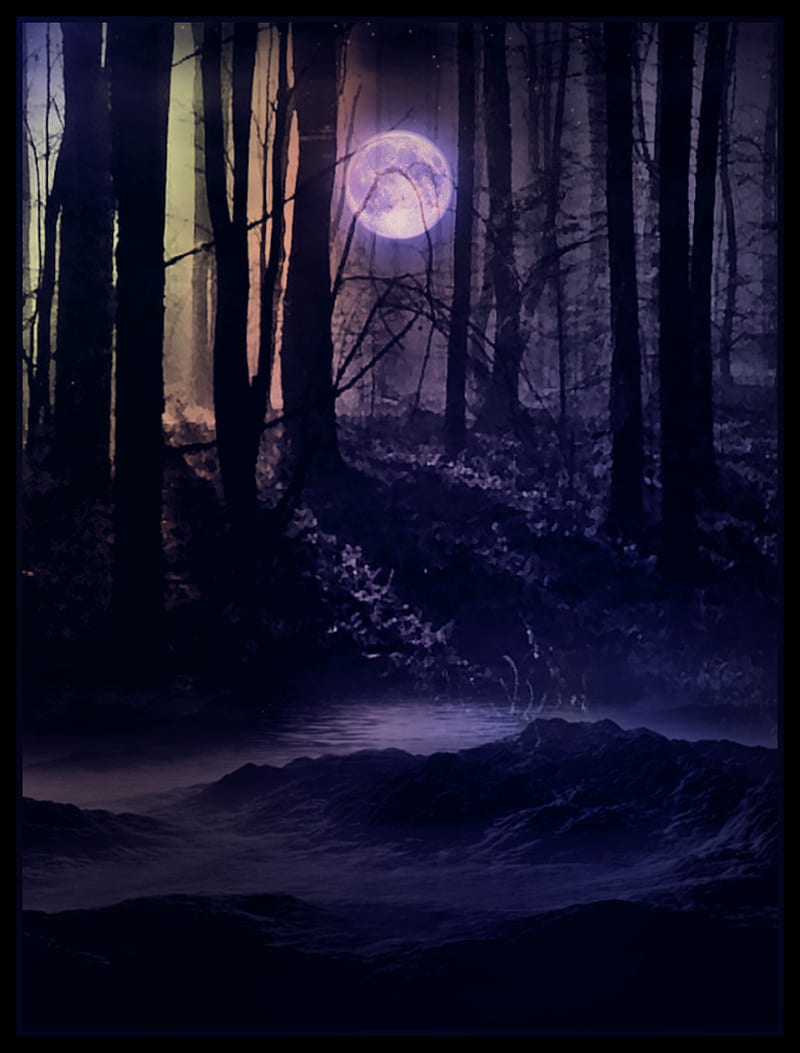 Dark Woods, forest, moon, night, shadow, trees, HD phone wallpaper