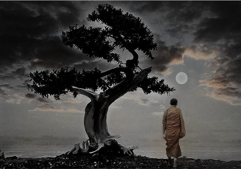 Meditation, bonsai, art, black, abstract, sky, mystic, monk, moon, 3d, digital, nature, harmony, HD wallpaper