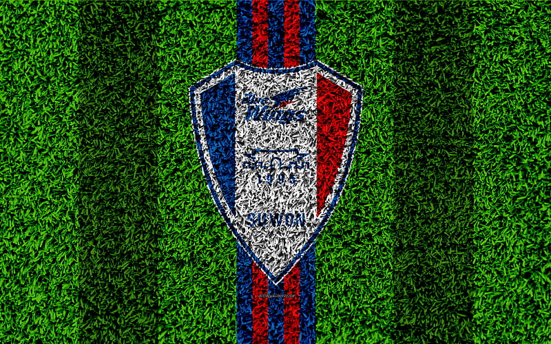 Suwon Samsung Bluewings FC logo, grass texture, South Korean football club, blue red lines, football lawn, K League 1, Suwon, South Korea, football, HD wallpaper