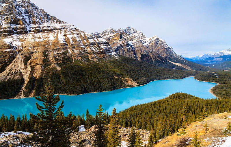 Peyto Lake, Canada, mountains, forest, Alberta, trees, HD wallpaper