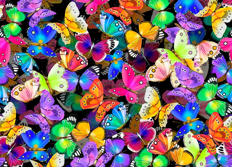 Butterflies, pattern, colorful, butterfly, texture, rainbow, paper, HD wallpaper
