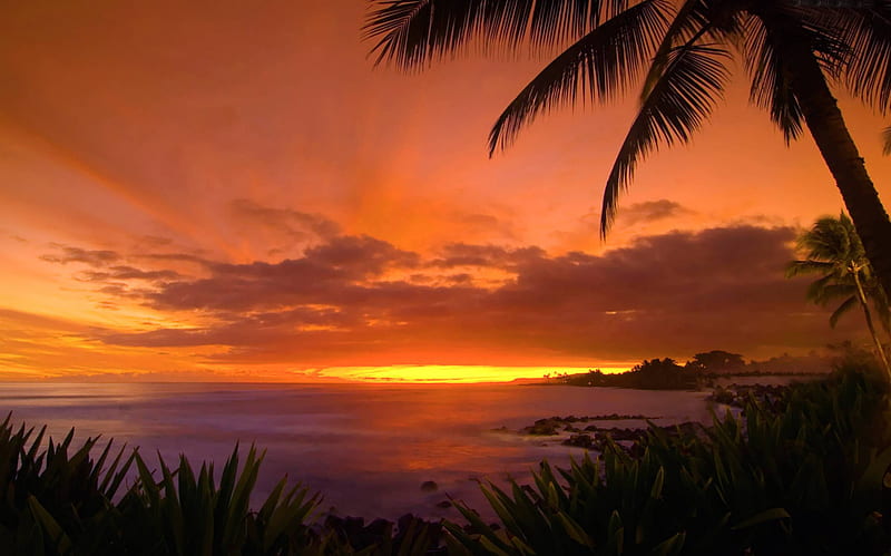 Tropical Island Sunset, polynesia, islands, exotic, orange, hawaii, ocean, dusk, sunset, twilight, sea, beach, paradise, evening, island, tropical, hawaiian, HD wallpaper