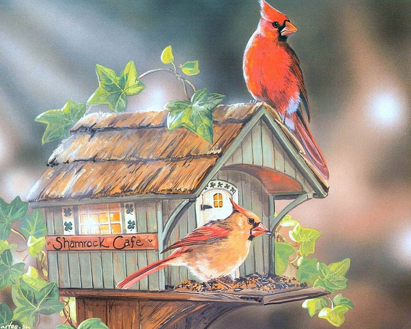 Bird House Cafe, red, pretty, house, brown, orange, home, yellow, painted, green, painting, animals, wings, food, birds, trees, birdhouse, nature, white, HD wallpaper