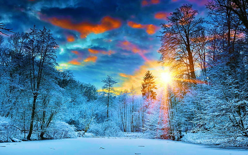Morning Sunrise, forest, sun, snow, colors, sky, clouds, trees, winter, HD  wallpaper | Peakpx
