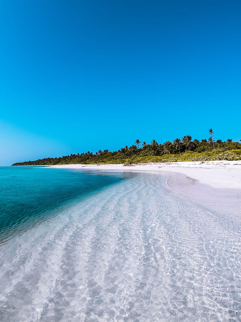 beach, maldives, tropical island, coast, clear sky, sand, Nature, HD phone wallpaper