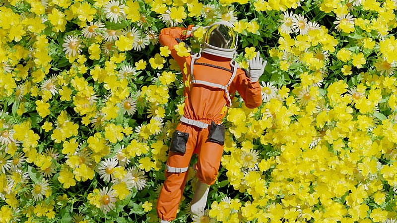 Astronaut, chirag oza, field, view from the top, cosmonaut, frumusete, orange, luminos, yellow, vara, fantasy, flower, summer, HD wallpaper