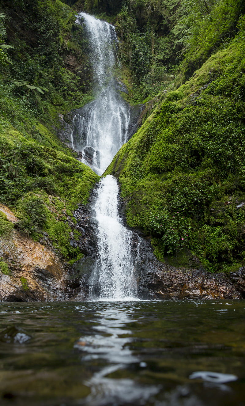 waterfall, river, water, moss, greenery, HD phone wallpaper