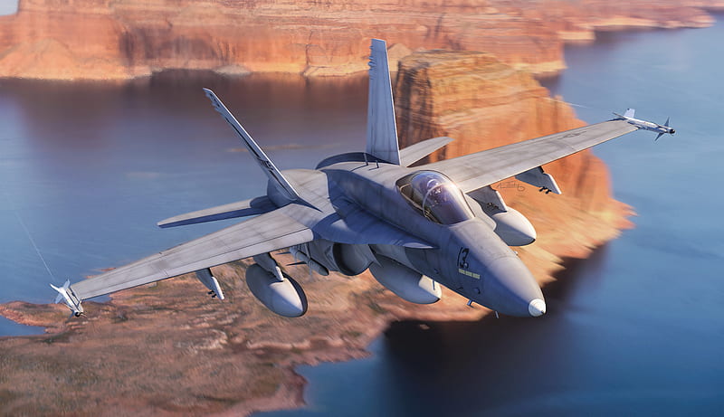 Jet Fighters, McDonnell Douglas F/A-18 Hornet, Warplane, HD wallpaper