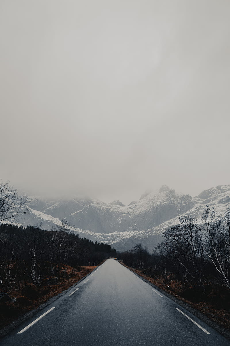 road, mountains, trees, asphalt, wet, HD phone wallpaper