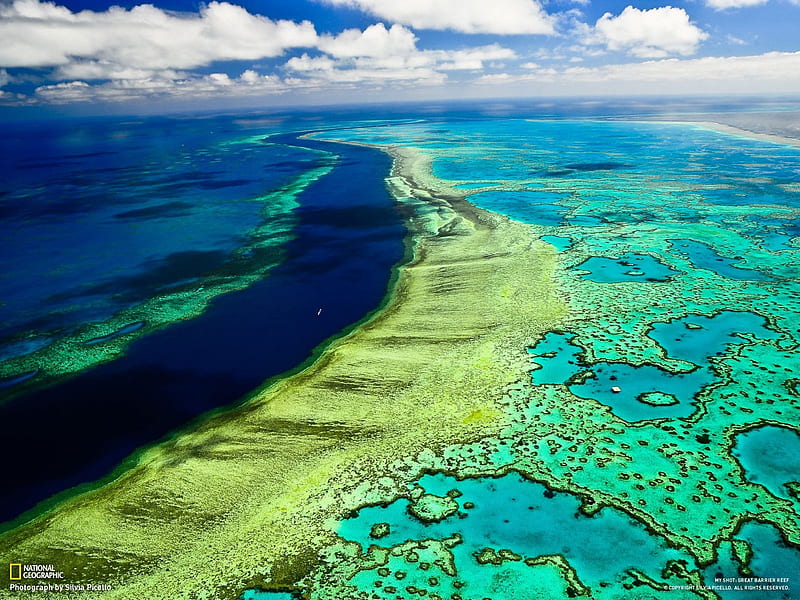great barrier reef myshot-national geographic, HD wallpaper