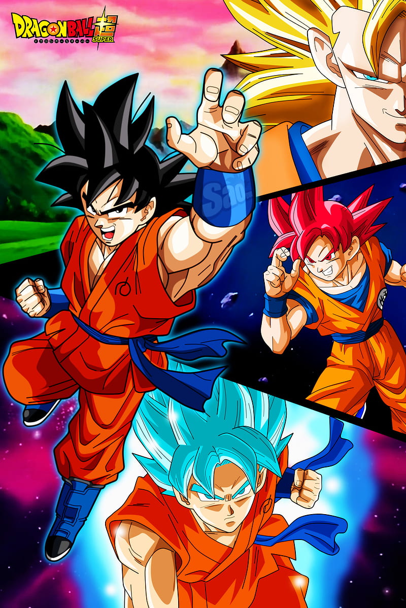 Dragon Ball Super Wallpaper - Goku's Evolution by WindyEchoes on