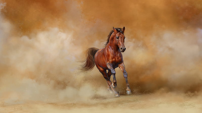 Brown Horse Is Running With Background Of Flying Sand On Wind Animals, HD wallpaper