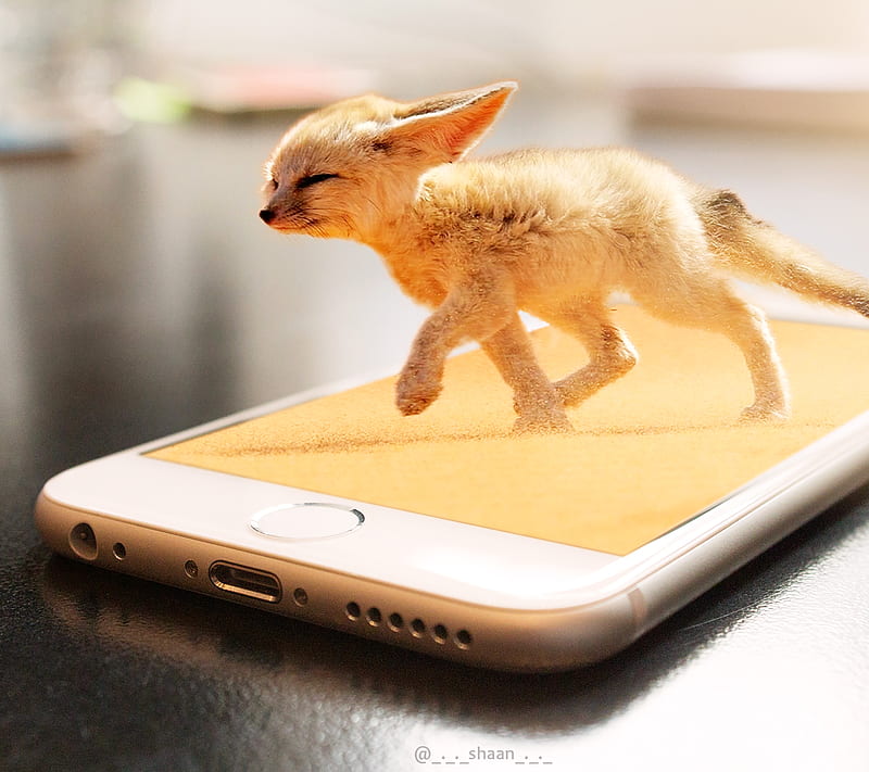Iphone Desert Fox, desert animal, iphone animal, iphone fox, iphone , sand, sand fox, sand iphone, HD wallpaper