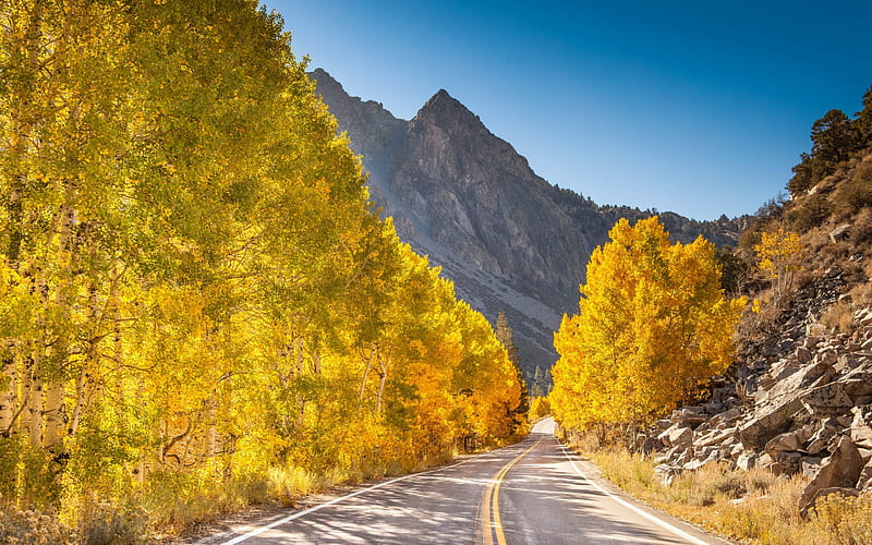 autumn mountain landscape, road, forest, yellow tree, mountains, HD wallpaper