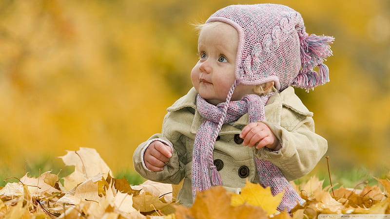 Cute Baby Is Sitting On Dry Leaves Wearing Jerkin And Woolen Knitted Pink Cap In Blur Yellow Background Cute, HD wallpaper