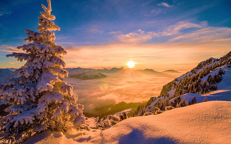 Winter Sunset, sun, snow, mountains, sky, trees, landscape, fog, HD wallpaper