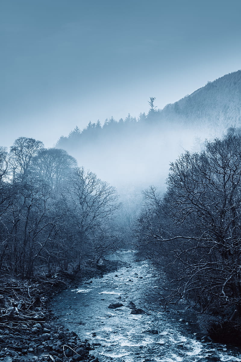 river, fog, trees, nature, HD phone wallpaper