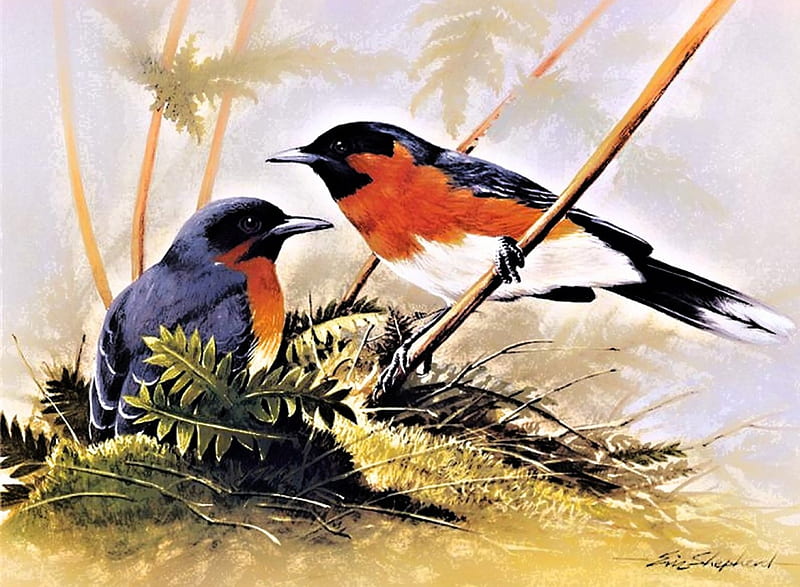 Painting, birds, oil painting, two, HD wallpaper