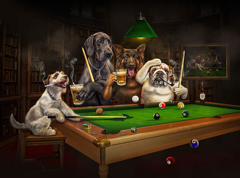 Playing billiard, fantasy, green, caine, funny, creative, dog, animal, HD wallpaper