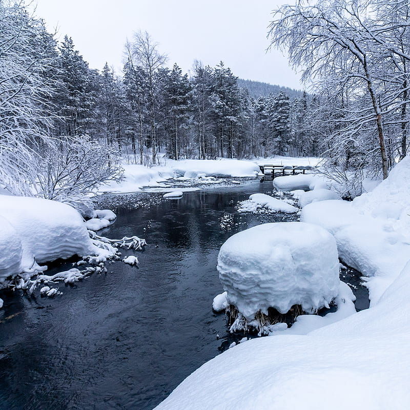 forest, river, snow, bridge, snowy, HD phone wallpaper