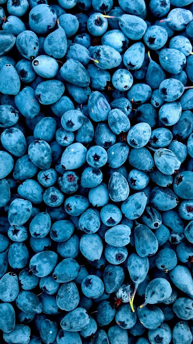 1920x1080px, 1080P free download | Abundance, fruit, blueberries ...