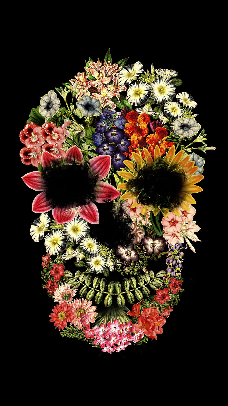 Floral Skull vintage b, Tobe, flowers, nature, skul, spring, HD phone wallpaper
