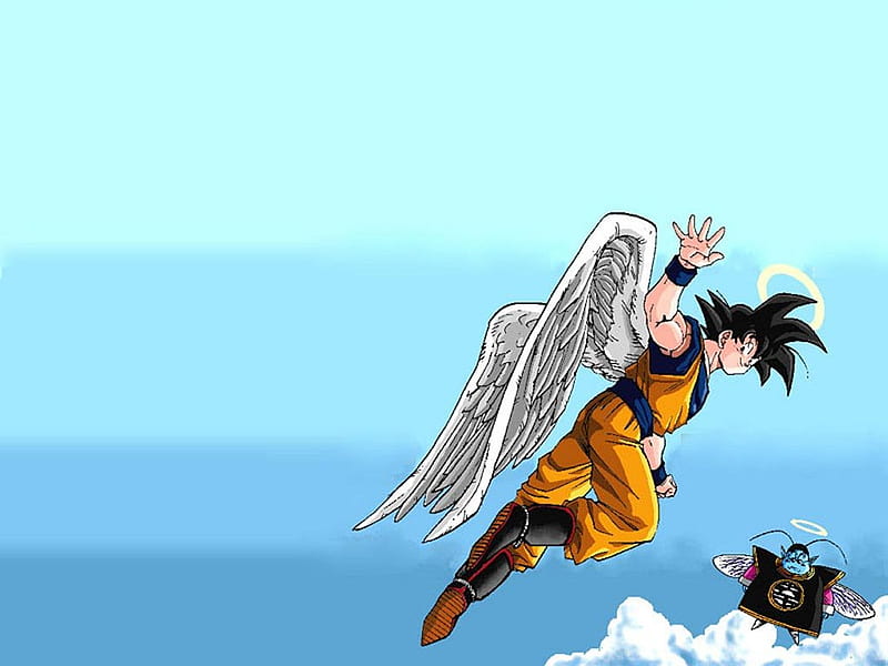 DragonBall Super Q, 2560x1440, aniversario, anniversary, ball, ball z,  dragon, HD wallpaper