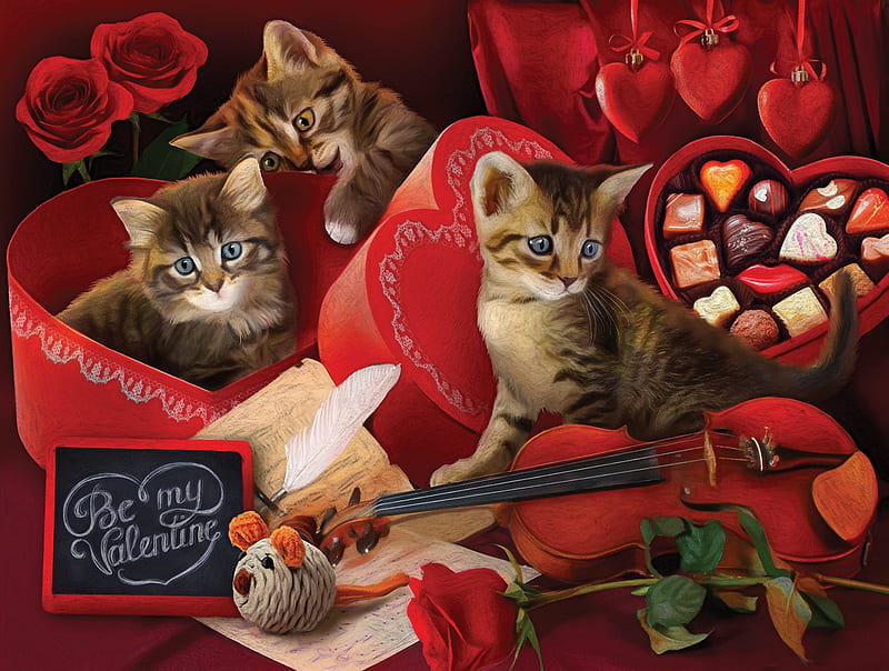 candy, art, red, rose, chocolate, box, toy, valentine, cat, gift, instrument, iolin, mouse, flower, pisici, kitten, violin, HD wallpaper