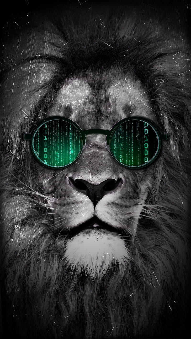 Lion , glasses, matrix, swag, HD phone wallpaper