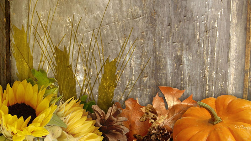 Autumn Bounty, pine cones, fall, , harvest, pumpkin, nature, sunflower, abstract, HD wallpaper