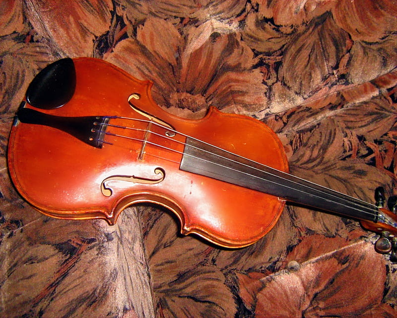 Beautiful Violin, beauty, art, violin, music, HD wallpaper