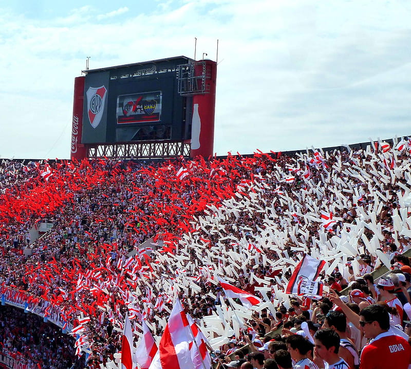 River Plate Aficion, argetnina, football, river plate, HD wallpaper