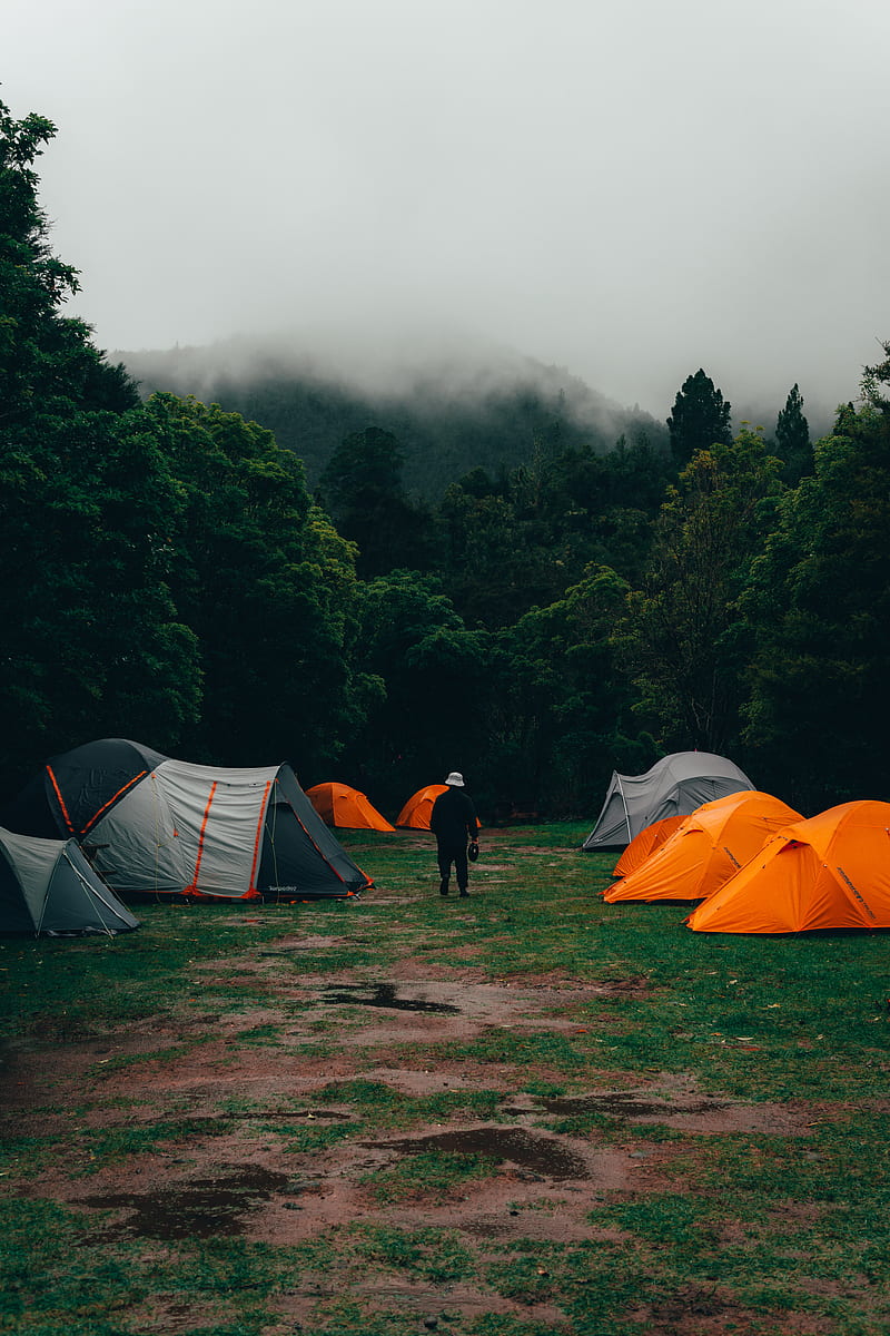 mountain tents, camp, fog, moody, mounutain, nature, tent, HD phone wallpaper