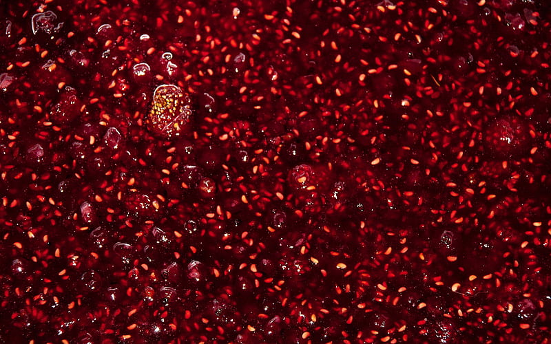 raspberry jam, macro, food textures, jam textures, shortbread backgrounds, raspberry jam texture, HD wallpaper