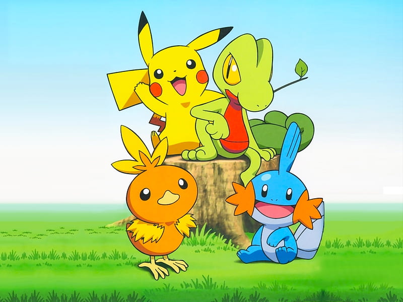 Poke Pals, grass, pokemon, sky, torchick, mudkip, pikachu, tree stump, leaf, stick, anime, treecko, HD wallpaper