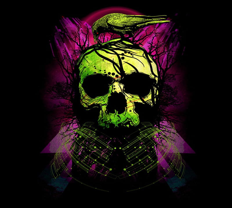 Green Skull, bird, green, gothic, dark, black, crow, skull, pink, HD wallpaper