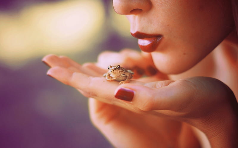 I wish my kiss turn you into a Charming Prince, red, woman, lips, kiss, cute, frog, girl, hand, funny, HD wallpaper