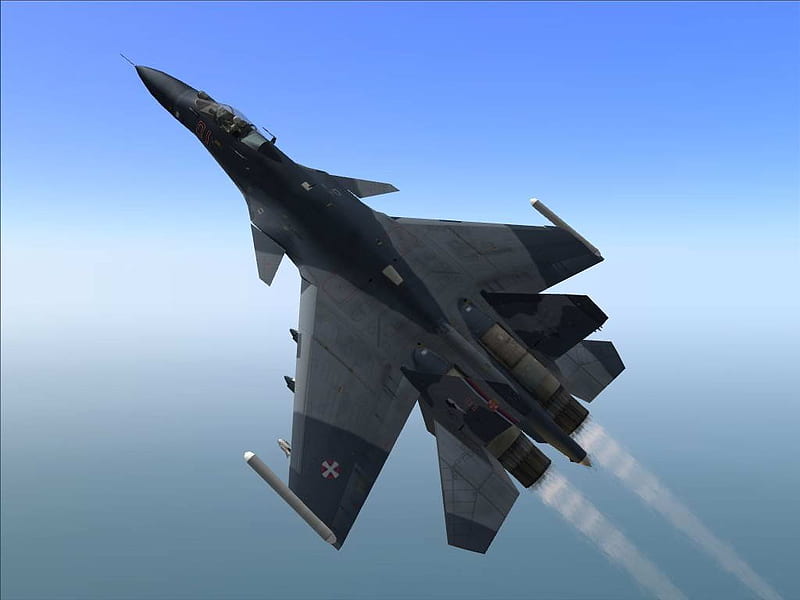 sukhoi su 33 flanker d fighter aircraft, military, aircraft, HD wallpaper