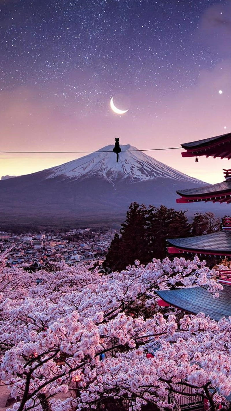 Japanese Night, japan, trees, cat, volcano, mountain, sky, moon, stars, galaxy, HD phone wallpaper