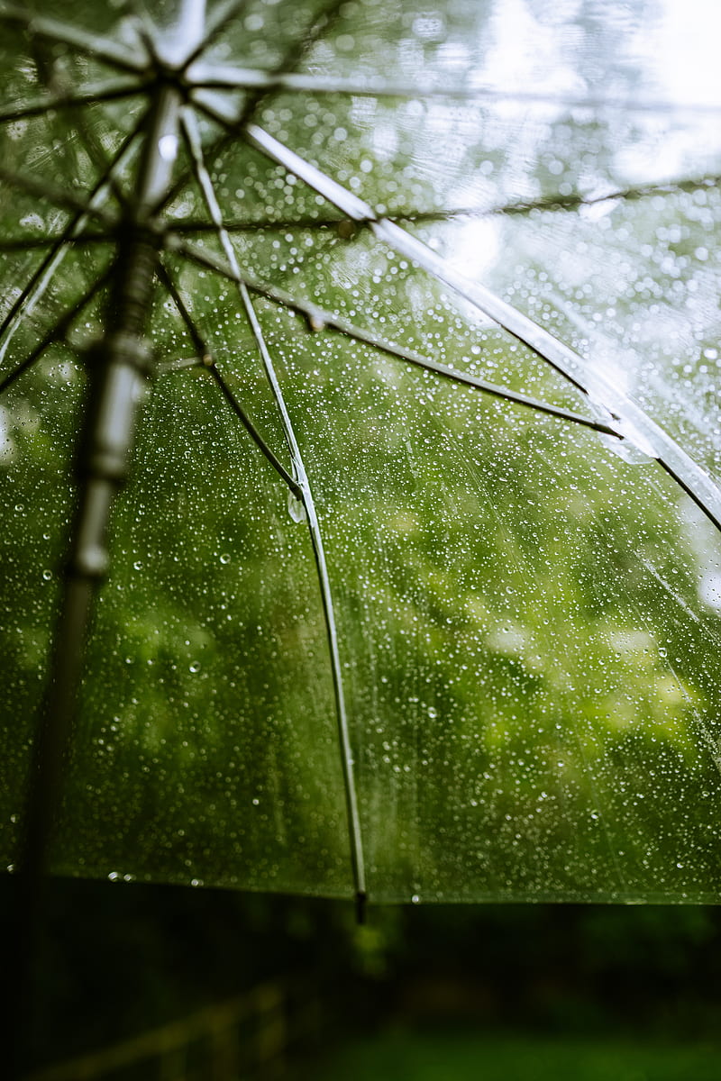 umbrella, rain, drops, transparent, HD phone wallpaper