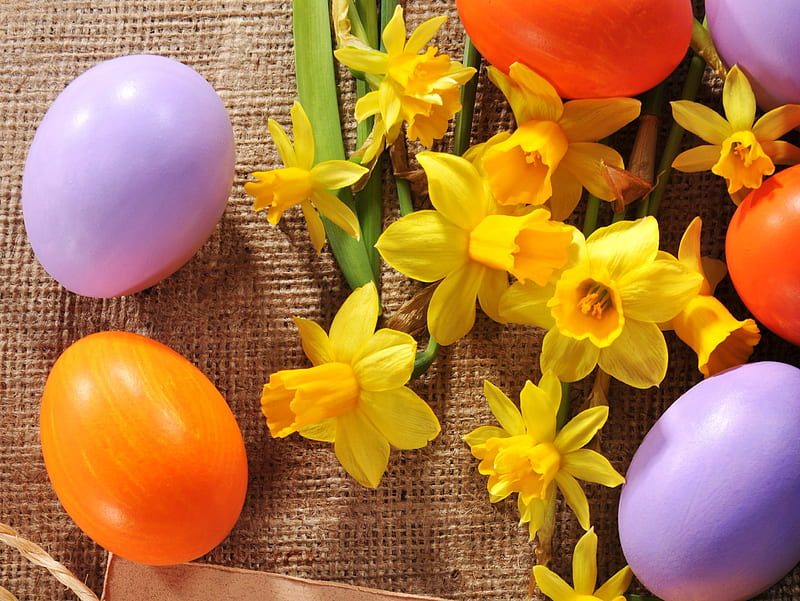 Daffodils and Easter Eggs, burlap, Easter, daffodils, eggs, flowers, Spring, HD wallpaper