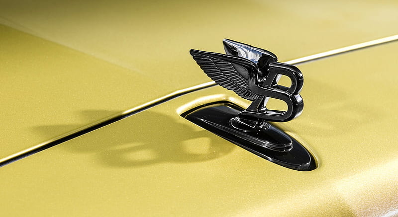 2017 Bentley Mulsanne Speed (Color: Julep) - Ornament , car, HD wallpaper