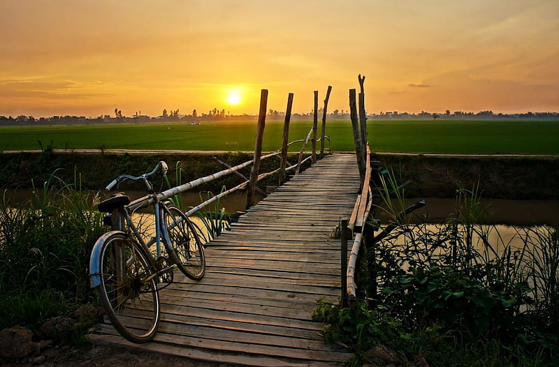 Bicycle forgotten on the bridge at sunset, vehicle, sun, grass, background, sunset, , nice, landscapes, sunrise, evening, wood, , sky, trees, mood, panorama, water, cool, awesome, fullscreen, field, scenic, bicycle, bonito, twilight, graphy, leaves, bridge, fields, river, mirror, scenery, ng, reflex, horizon, view, lake, plants, herbs, nature, reflections, meadow, scene, HD wallpaper