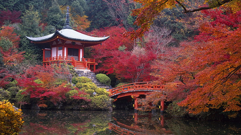 Nature, Water, Building, Reflection, Tree, Fall, Bridge, Pagoda, Japan, Temple, Religion, Temples, Kyoto, Shrine, Religious, Japanese Garden, Daigo Ji, HD wallpaper