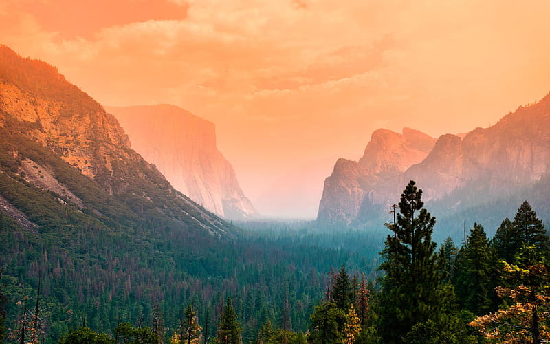 Yosemite Valley, fog, autumn, american landmarks, Yosemite National Park, forest, California, USA, America, HD wallpaper