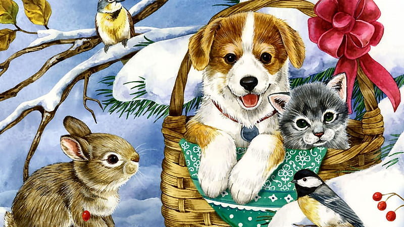Winter Bild mit Tiere, Kaninchen, Hund, Deutschland, Winter, HD wallpaper