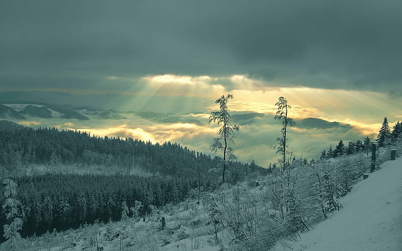 Let There be Warmth, hills, forest, snow, clouds, winter, light, HD wallpaper